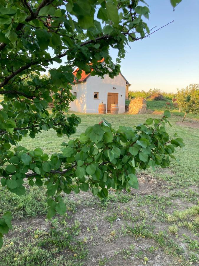 Ubytovani Smudla Znojmo Dış mekan fotoğraf