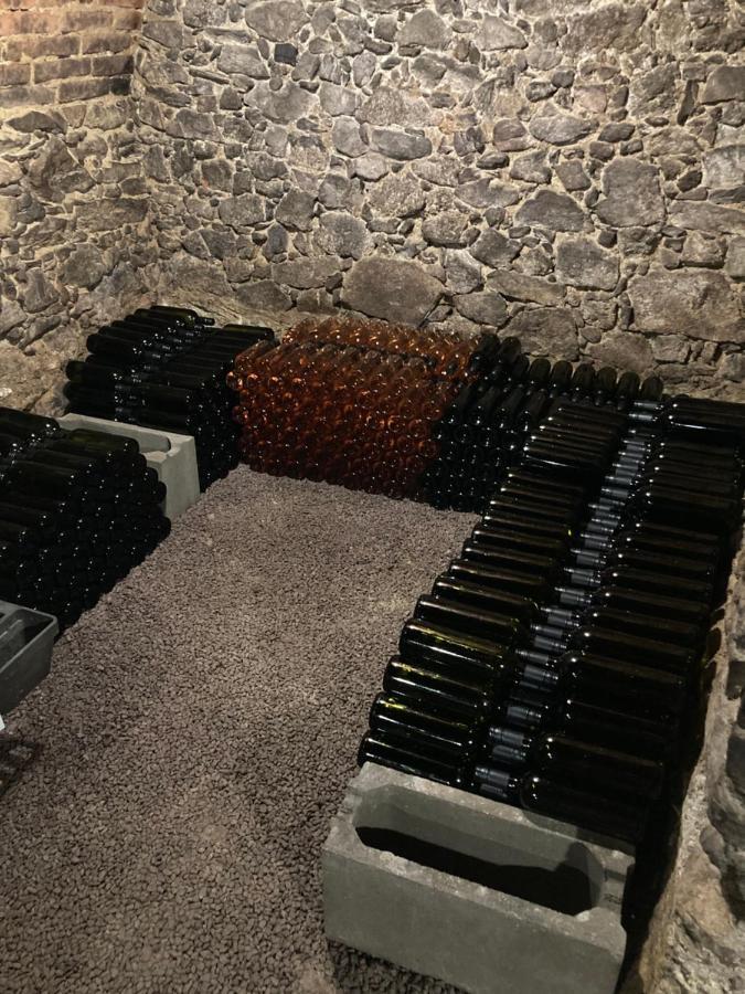 Ubytovani Smudla Znojmo Dış mekan fotoğraf