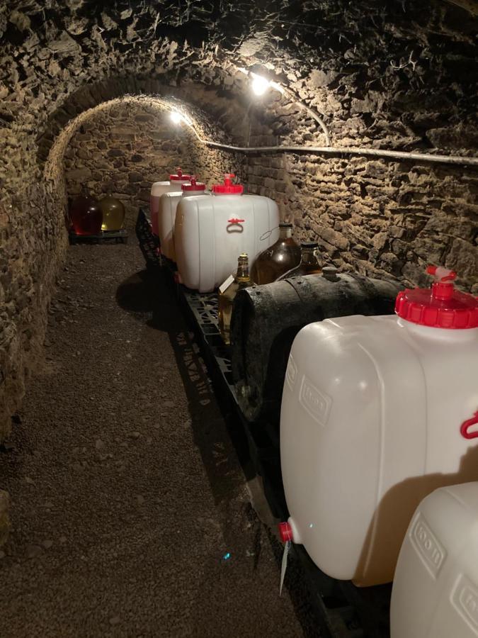 Ubytovani Smudla Znojmo Dış mekan fotoğraf